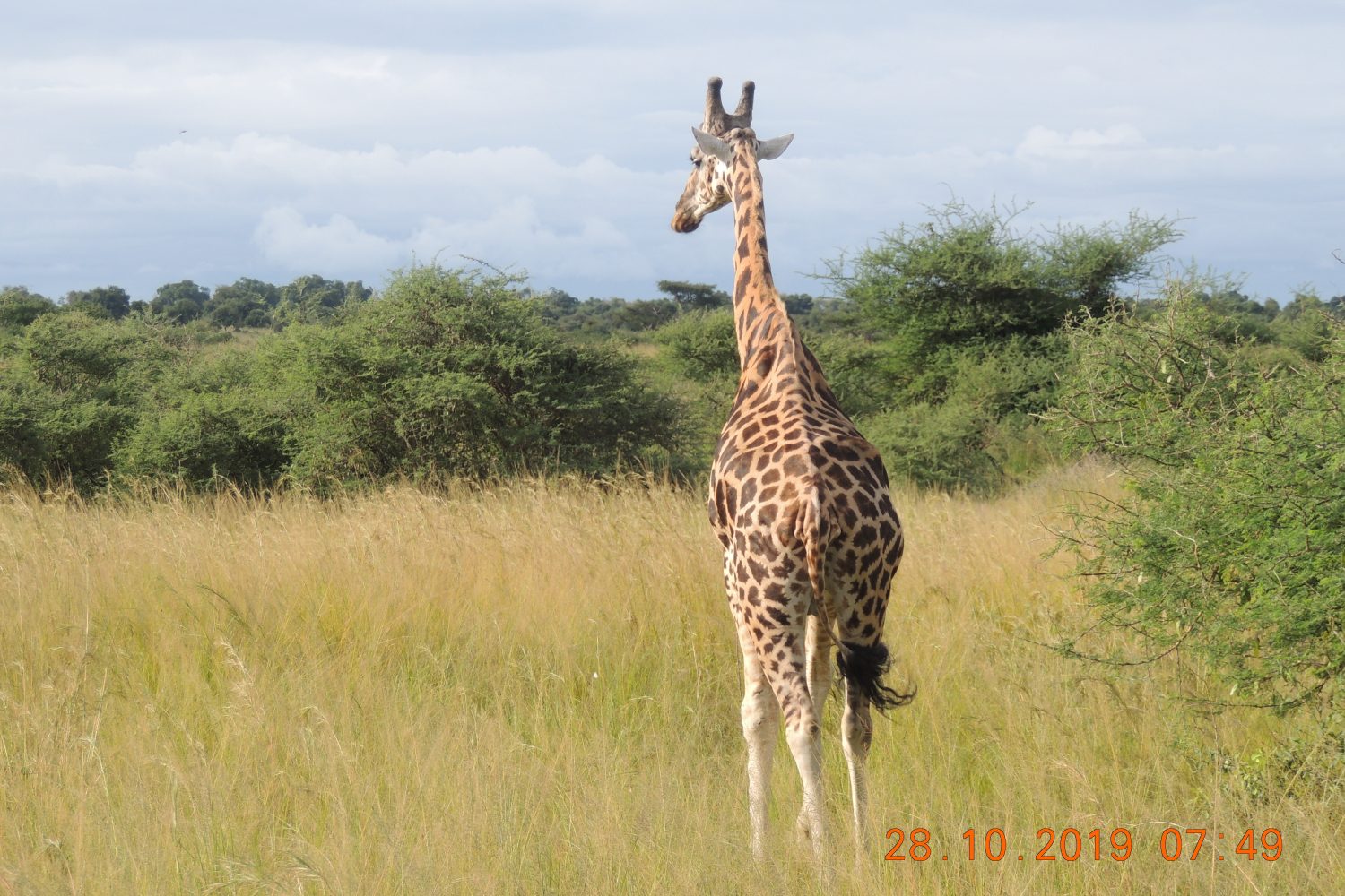 lake mburo national parl