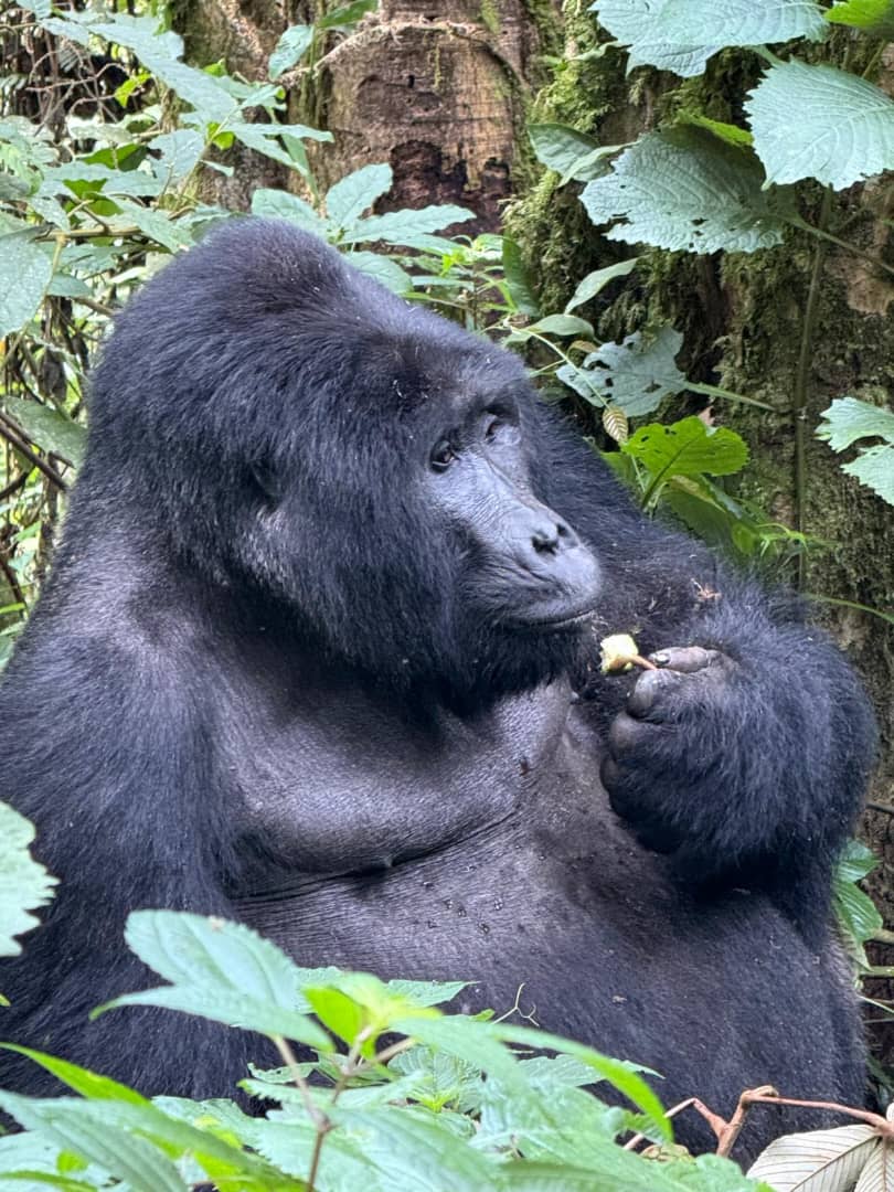 WhatsApp Image 2026-04-28 at 13.12.02 (1)